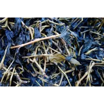 Natural Dry Indigo Leaves